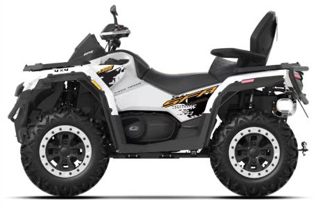 QJMOTOR  SFA 1000 PRO